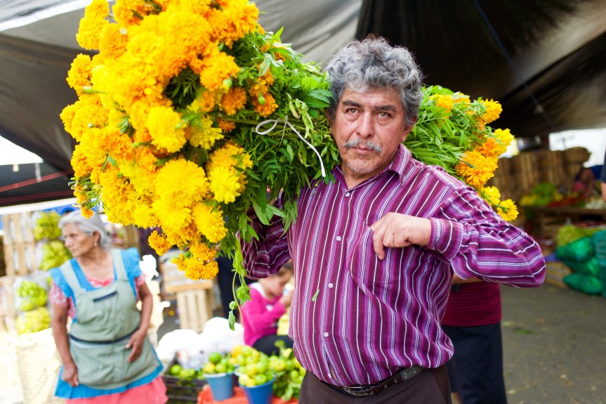 Picking up some flowers of the Day of the Dead celebrations...