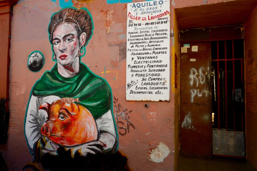 Frida with her pet piggy... Love seeing stuff like this!