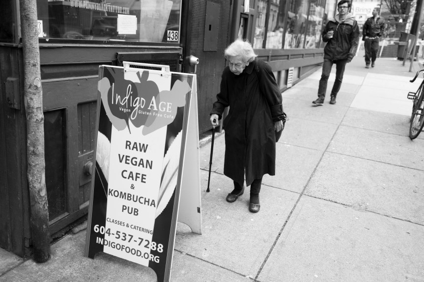 I often see this little cutie in the hood....